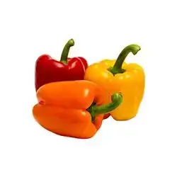 Mix Color Pepper 1Pack