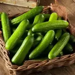 Cucumber
