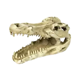 E902 decoration for an aquarium or reptile tank