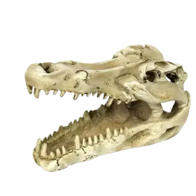 E902 decoration for an aquarium or reptile tank