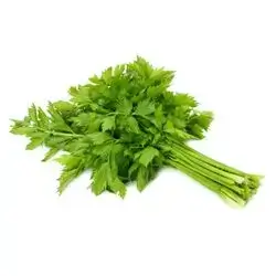 Celery