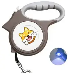 Retractable Leash & Light 5M