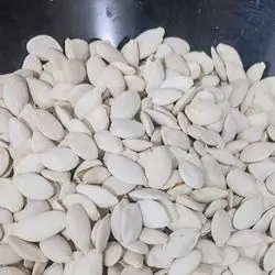 White Seed