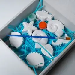 Under The Sea Box
