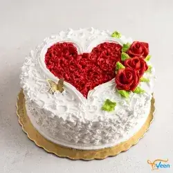 Large Birthday Cake
