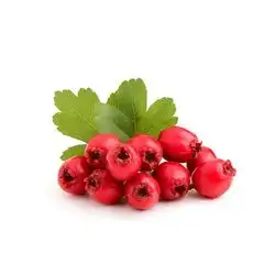 Hawthorn