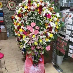 Stand Flowers-Colors