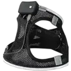 Dog Harness