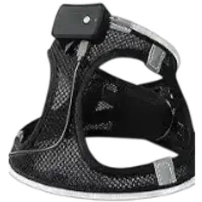 Dog Harness