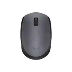 Logitech Wireless Mouse M171
