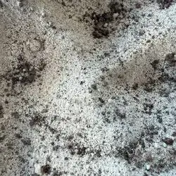 Chocolate Coffee