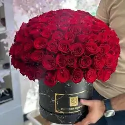 بۆکسی گوڵی سروشتی