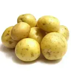 Potato