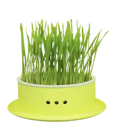E323 Cat Grass Basin