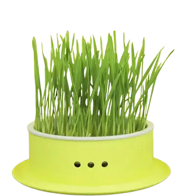 E323 Cat Grass Basin