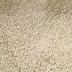 Raw Sesame 