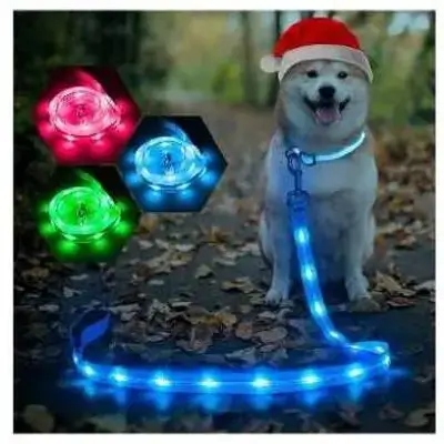 Pet LED Collar