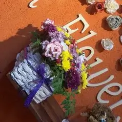 Basket Flower