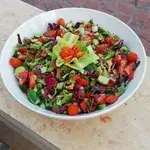 Fresh Salad