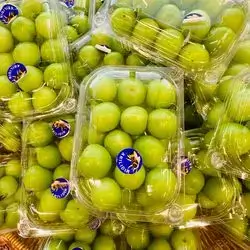 Green Plum-box