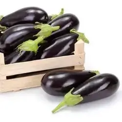 egglant