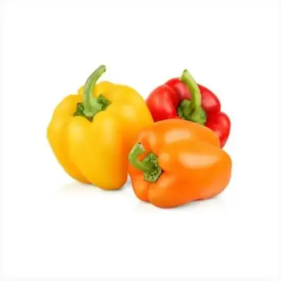 Bell Pepper