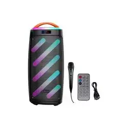 DJ Portable Speaker