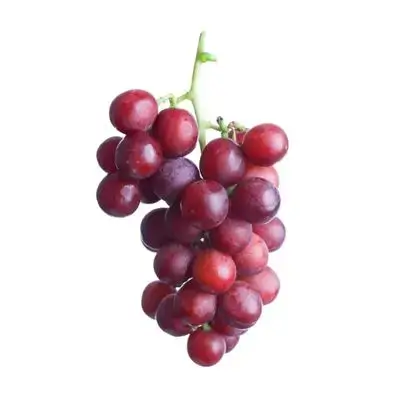 Halwani Grapes