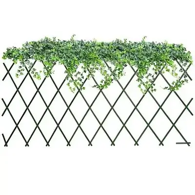 Plant Trellis -Plan Support