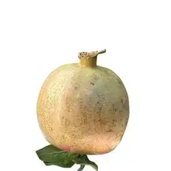 Sweet Pomegranate