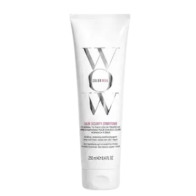 Color Security Conditioner for Normal to Thick Color Treated Hair 250ml _ COLOR WOW