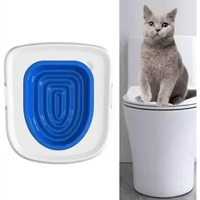 Toilet Training