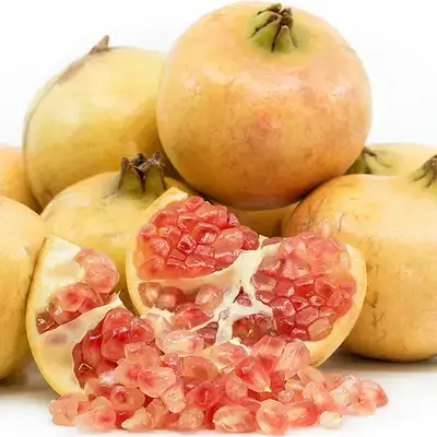 pomegranate