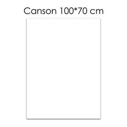 Canson Paper (White) 100 X 70 cm