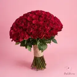 The Bride's Flower-Red