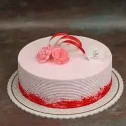 Vanilla Cake Size 3
