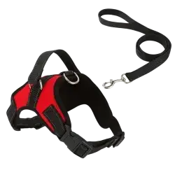 Leash & Harness M