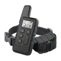 Dog Training Collar