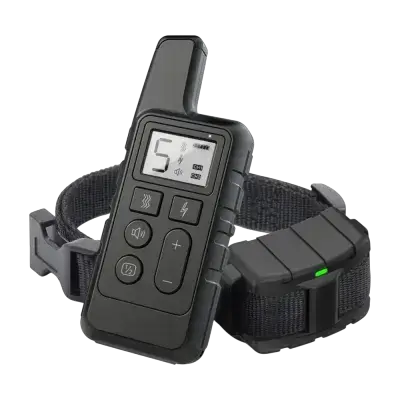 Dog Training Collar