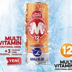 Multi vitamin functional drink (Dark Blue)250ml