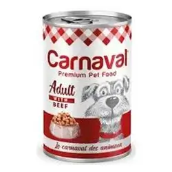 Carnaval Adult