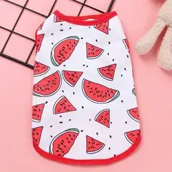 Pet Clothes