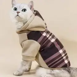 Hoodie L