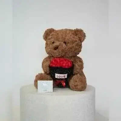 Large Teddy Bear with Gift