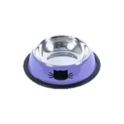 Feeding Bowl