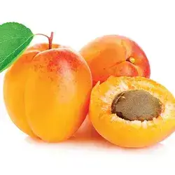 Lebanese Apricot