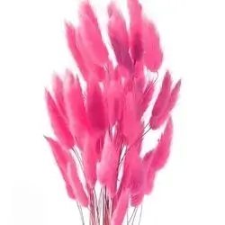 Per 