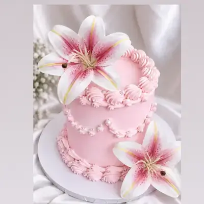Special Cake - 4 Persons