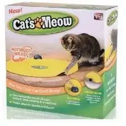 Cat Toy