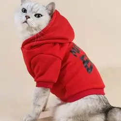 Hoodie L